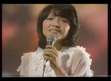かもめが翔んだ日（1978年）　渡辺 真知子
