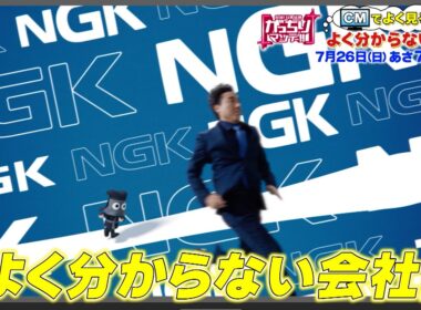 『がっちりマンデー!!』CMで良く見るけど知らない会社! 渡辺パイプ､ＩＮＰＥＸ､ＮＧＫ 7/26(日)【TBS】