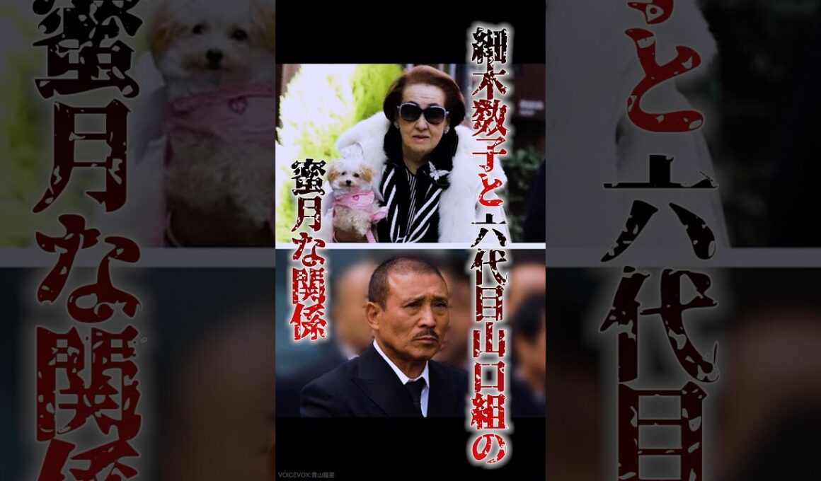 “女ヤクザ”と呼ばれた「昭和の女傑」細木数子と六代目山口組の蜜月な関係　#極道 #裏社会 #任侠 #都市伝説 #アウトロー #占い #細木数子