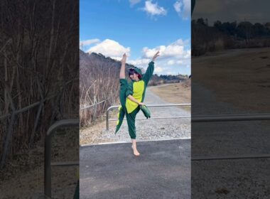 みんな足のことしかコメントしない動画 www  #ballet #バレエ #shorts