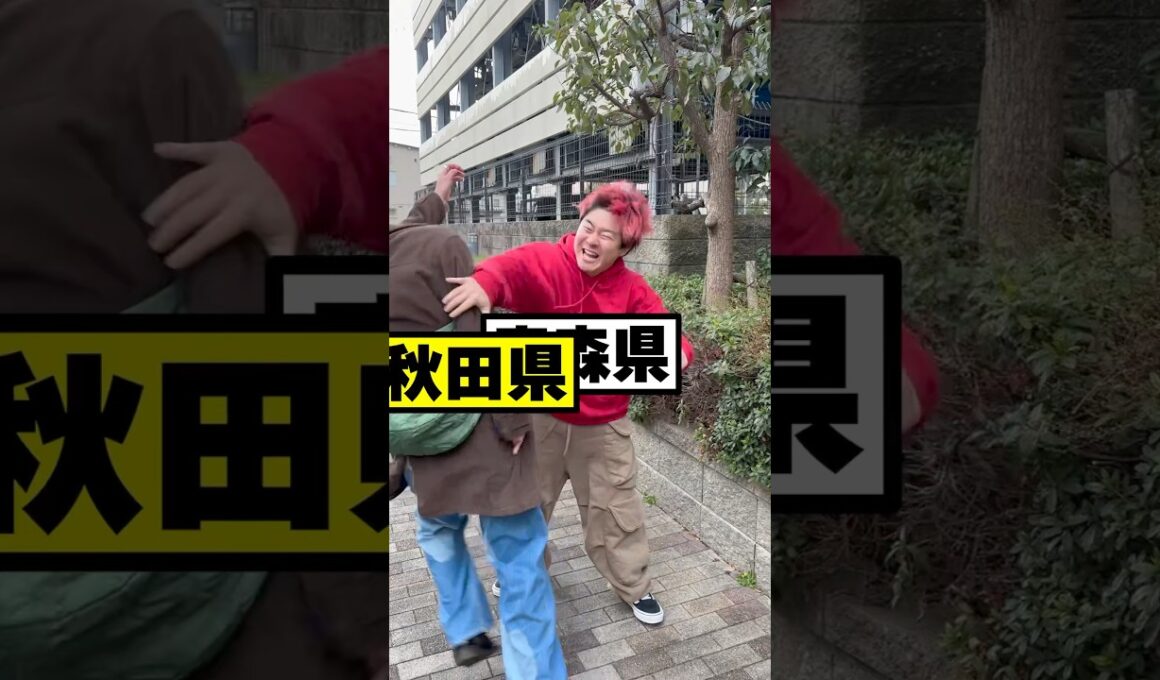 東北ってマジでこれ#青森県#岩手県#宮城県#秋田県#山形県#福島県#東北地方#観光#人気#日常
