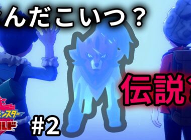 漢(主人公)には戦わなければならない時がある[ポケモン剣盾]