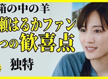 綾瀬はるかファン独特視点編 細かすぎる歓喜点６つ【箱の中の羊】 #映画紹介 #うるりこ Ep.140