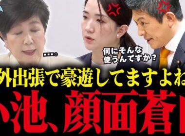 【小池百合子】※福岡県議会よりヤバいです...議会で高額海外出張がバレて終わる小池...1回の出張で1200万円税金を使っていた事が発覚...