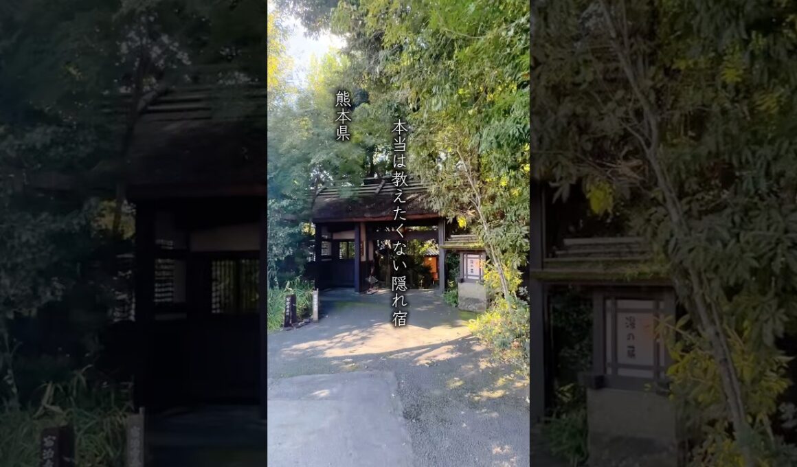 全室離れ、露天風呂付きで1人1泊2食1万円台！秘密にしたい隠れ宿 #旅行 #おでかけvlog #九州 #子連れ #温泉 #熊本#平山温泉#子育て#子連れ旅行