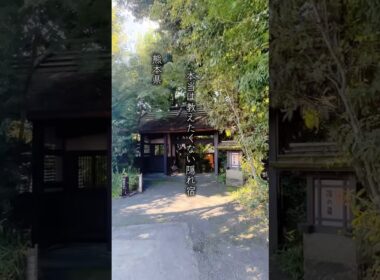 全室離れ、露天風呂付きで1人1泊2食1万円台！秘密にしたい隠れ宿 #旅行 #おでかけvlog #九州 #子連れ #温泉 #熊本#平山温泉#子育て#子連れ旅行