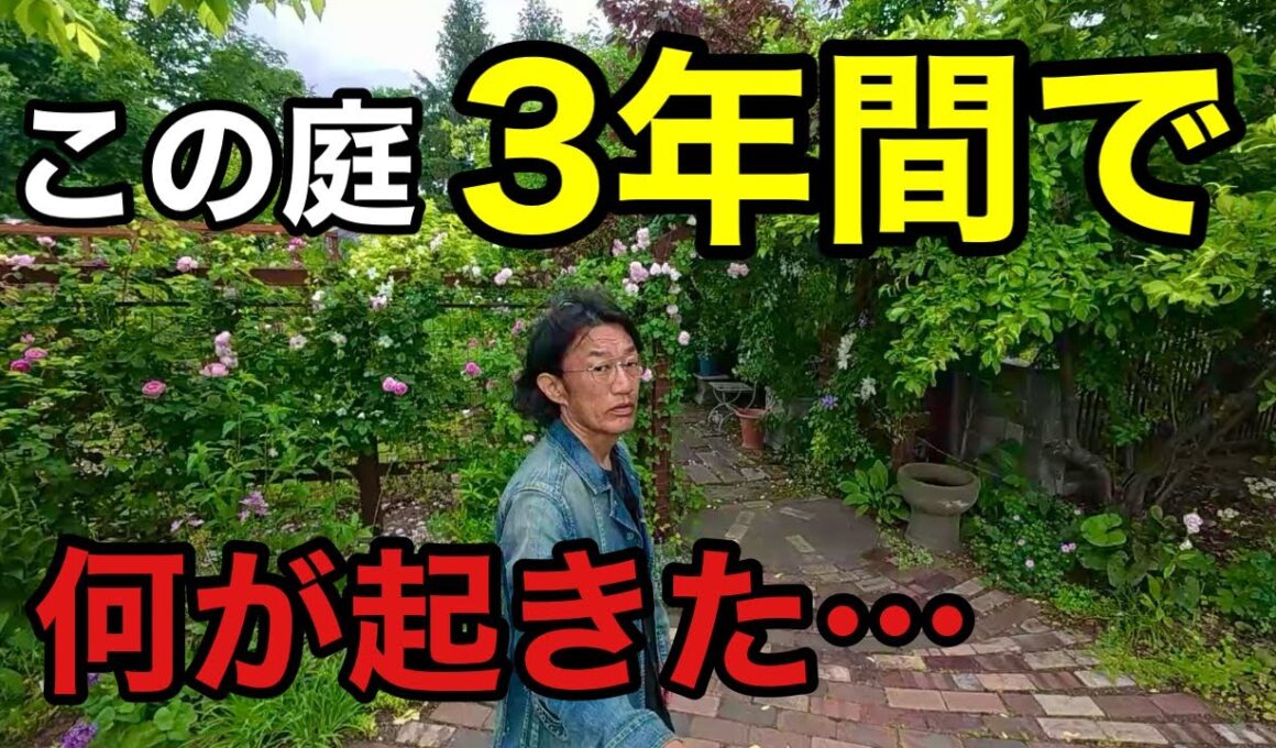 【おいっ嘘だろ】在庫処分品でできたとんでもない庭　　　　【園芸超人カーメン君】【梅木あゆみ庭】