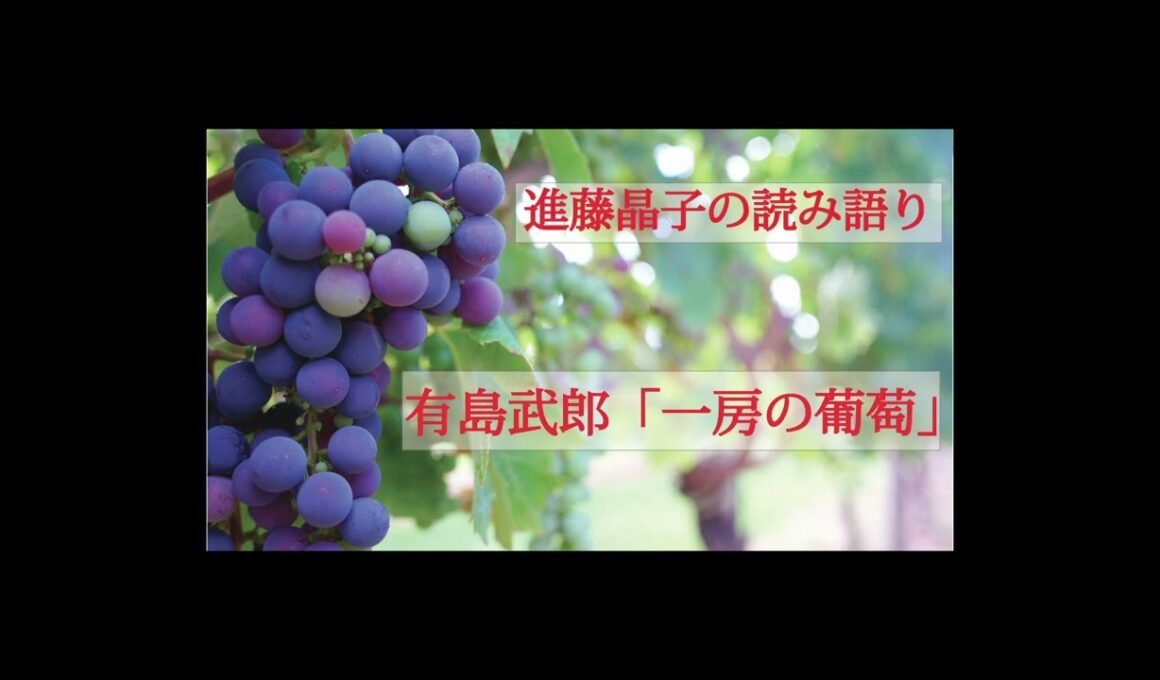 進藤晶子の読み語り  有島武郎「一房の葡萄」