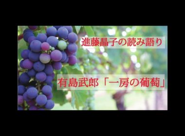 進藤晶子の読み語り  有島武郎「一房の葡萄」