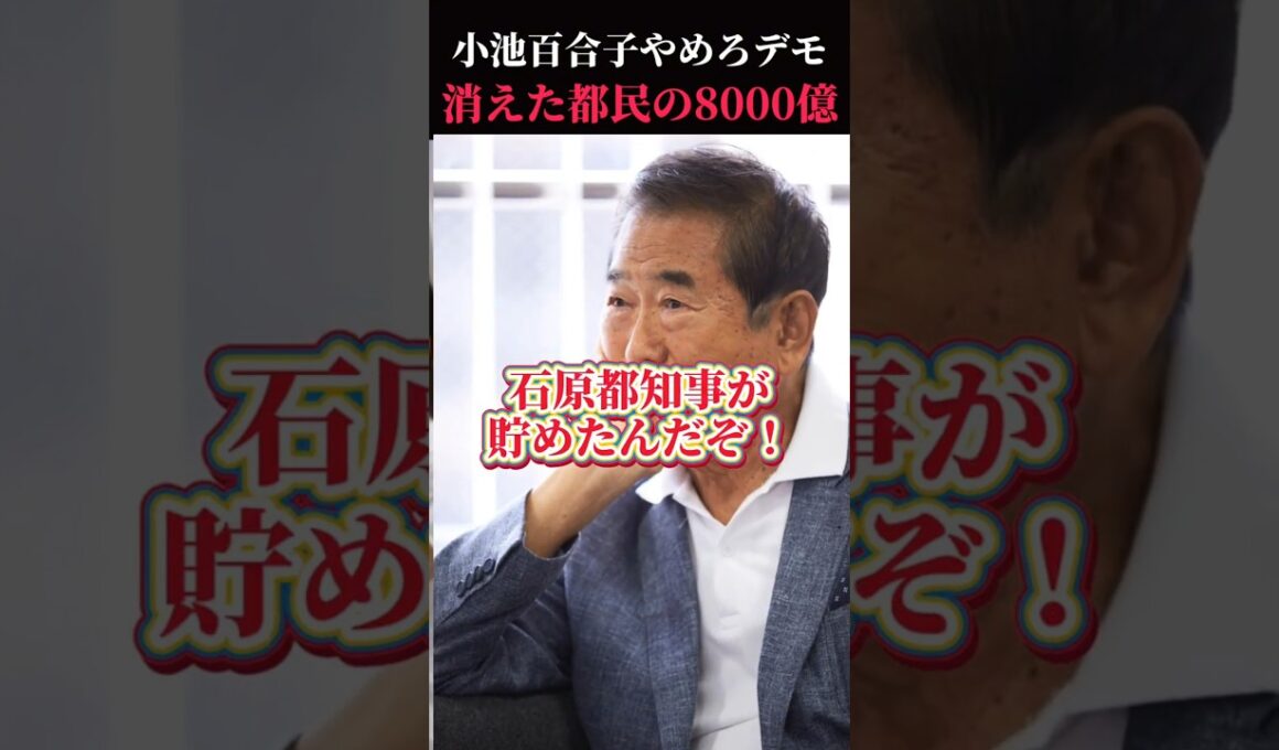 【小池やめろデモ】消えた都民の8000億…　#小池百合子 #都民ファーストの会 #河合ゆうすけ #フィフィ#石原慎太郎