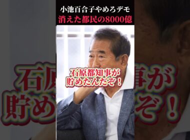 【小池やめろデモ】消えた都民の8000億…　#小池百合子 #都民ファーストの会 #河合ゆうすけ #フィフィ#石原慎太郎