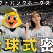 【福岡ソフトバンクホークス】貴島明日香の始球式の裏側！