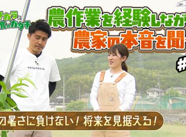 農作業を経験しながら農家の本音を聞く！～夏の暑さに負けない！将来を見据える！～