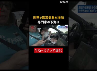 熱波、山火事、嵐…世界で増加する異常気象 専門家の予測は【クロ現】| NHK | #shorts