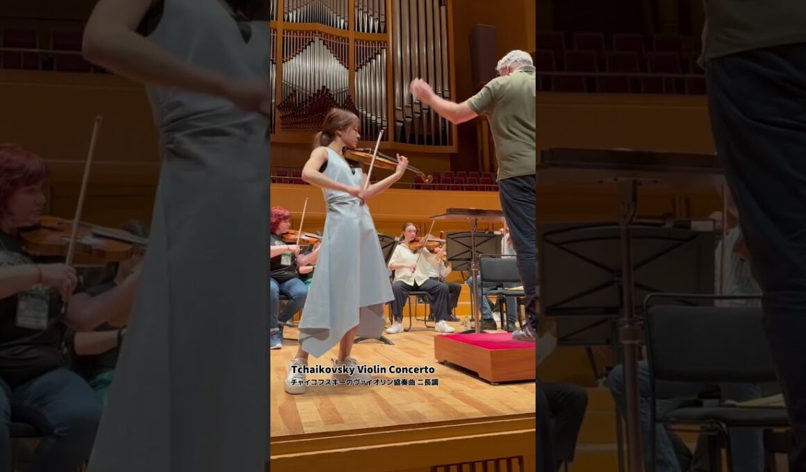 #チャイコフスキー #ヴァイオリン協奏曲 🎻💫#Tchaikovsky #ViolinConcerto #バイオリンカバー #廣津留すみれ #SumireHirotsuru