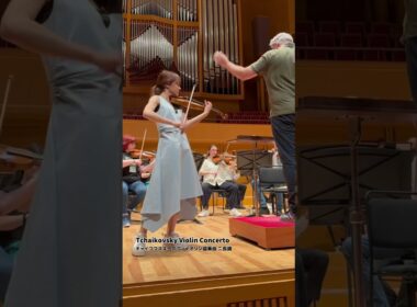 #チャイコフスキー #ヴァイオリン協奏曲 🎻💫#Tchaikovsky #ViolinConcerto #バイオリンカバー #廣津留すみれ #SumireHirotsuru