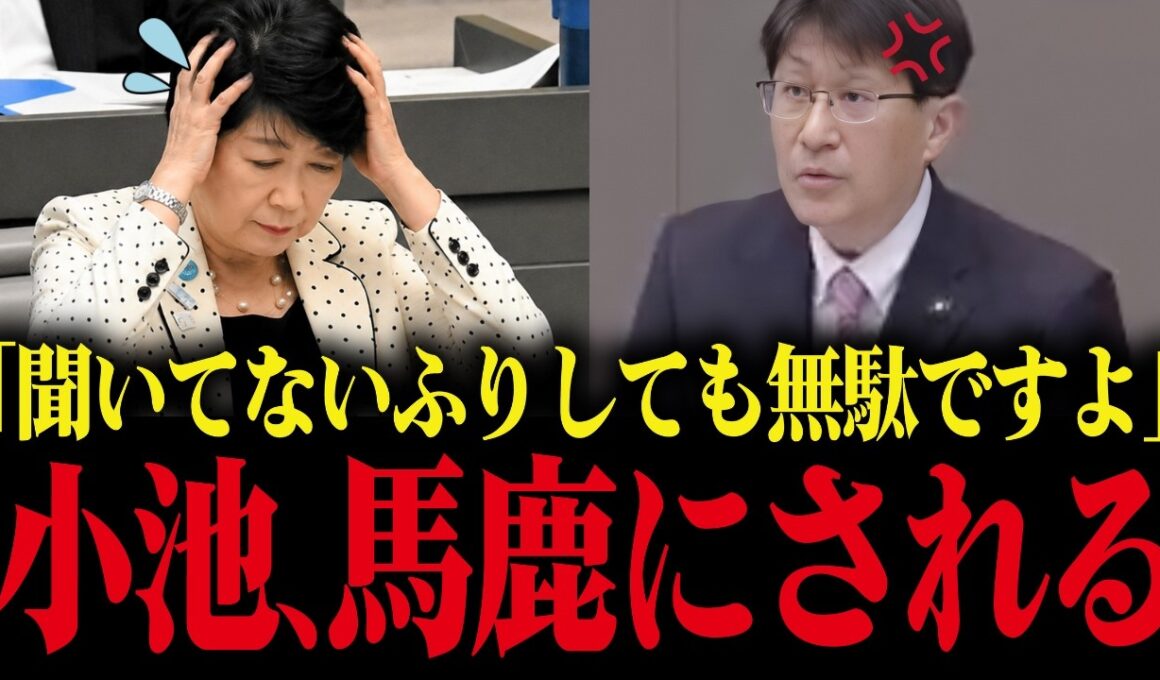 【小池百合子】答弁拒否し続けた小池、議員に馬鹿にされるww【小池都知事 さとうさおり カイロ大学 学歴詐称疑惑 】