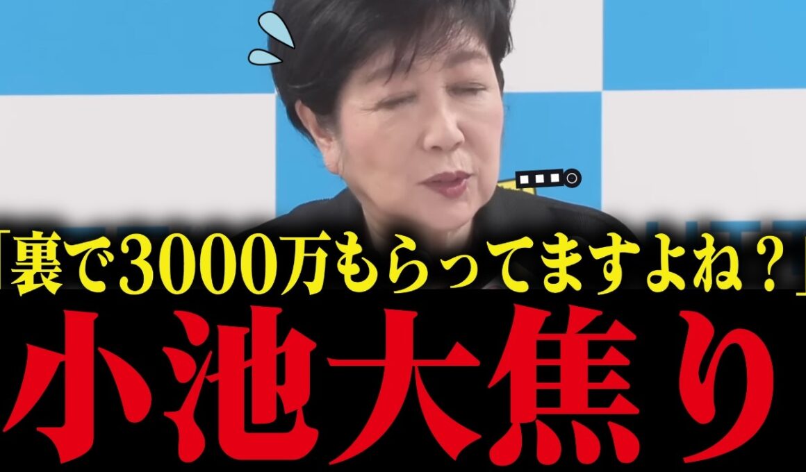 【小池百合子】給与半分カットを公約に謳うも、裏で3500万円もらっている事が発覚してしまう...小池大焦り！【さとうさおり 小池都知事 カイロ大学 学歴詐称疑惑 都議会】