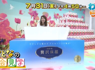 【番宣】四国中央市の巨大工場へ潜入！＆紙製品の秘密は!?▼絶品宮崎鶏の旨味に感動！▽わいワイ! Friday 2026/07/31（金）午後4:50〜