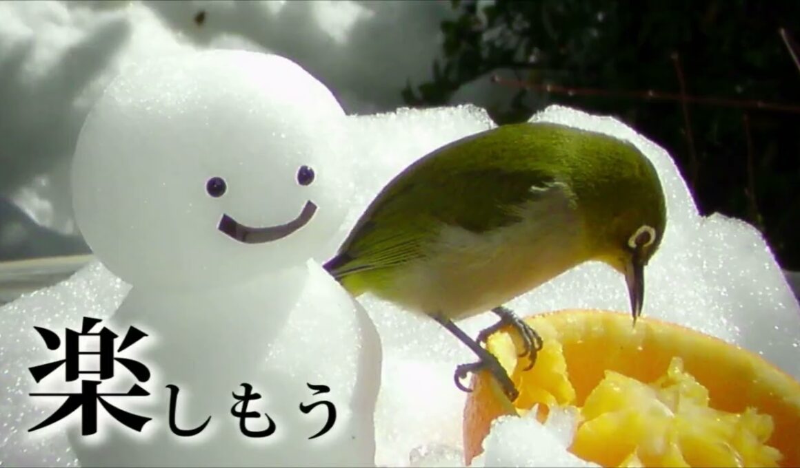 SoLiVE24 2017年2月9日（木）05001200