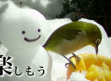 SoLiVE24 2017年2月9日（木）05001200