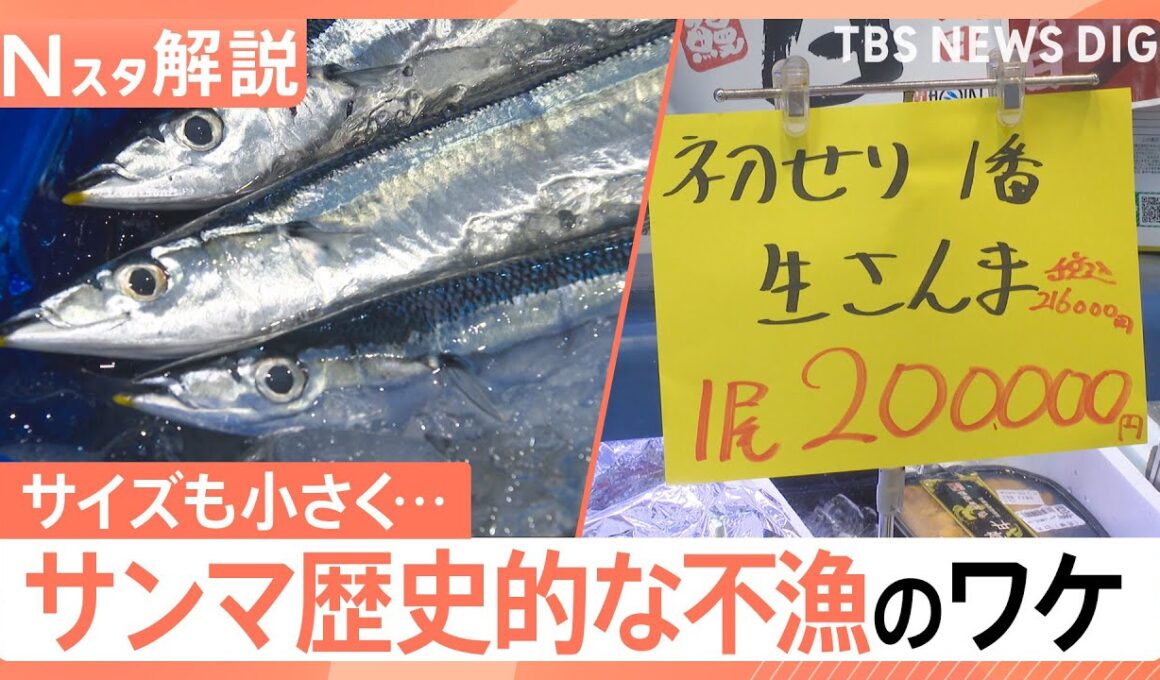 【サンマがピンチ】「今年はダメかも…」店長苦悩、1匹の価格予想は400円～500円 不漁のワケ【Nスタ解説】｜TBS NEWS DIG