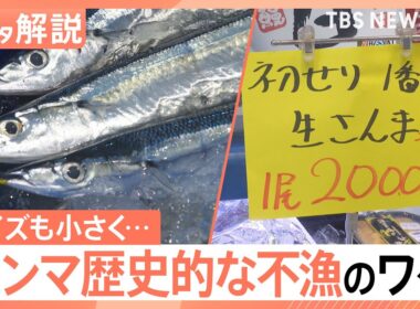 【サンマがピンチ】「今年はダメかも…」店長苦悩、1匹の価格予想は400円～500円 不漁のワケ【Nスタ解説】｜TBS NEWS DIG