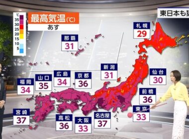 【画像】今日の近藤奈央さん　7.13
