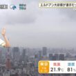 【画像】今日の今井春花さん　7.7
