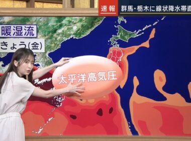 【画像】昨夜の細川栞さん 　7.17