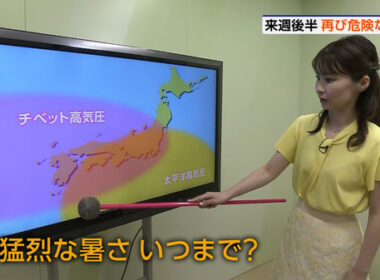 【画像】今日の田中美都さん 7.25