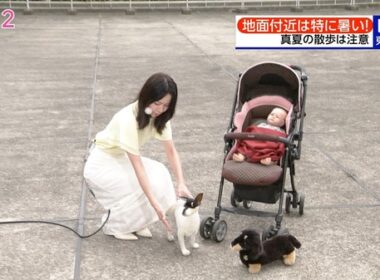 【画像】昨日の晴山紋音さん 7.24