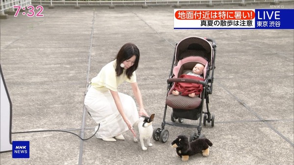 【画像】昨日の晴山紋音さん 7.24