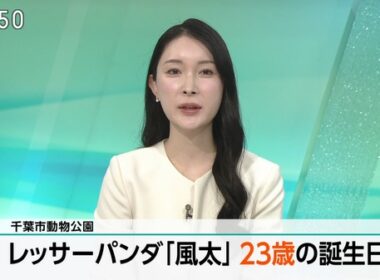 【画像】今日の森田茉里恵さん 7.5