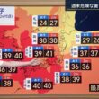 【画像】昨夜の細川栞さん 　7.31