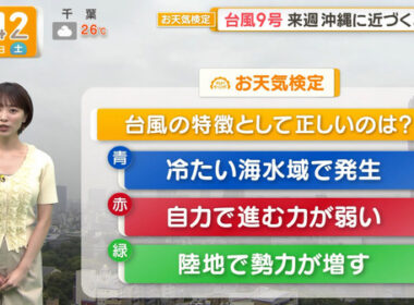 【画像】今日の今井春花さん　7.4