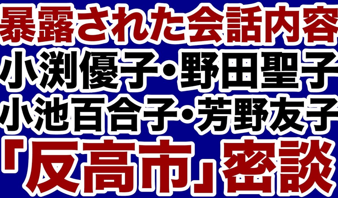 【暴露された密談】小渕優子・野田聖子・小池百合子・芳野友子「反高市」女性たちが一堂に会す【佐々木類✕デイリーWiLL】
