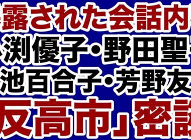 【暴露された密談】小渕優子・野田聖子・小池百合子・芳野友子「反高市」女性たちが一堂に会す【佐々木類✕デイリーWiLL】