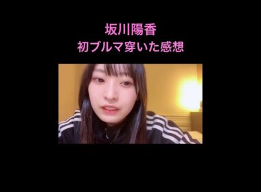 【坂川陽香】初めてブルマを穿いた #坂川陽香 #AKB48 #shorts