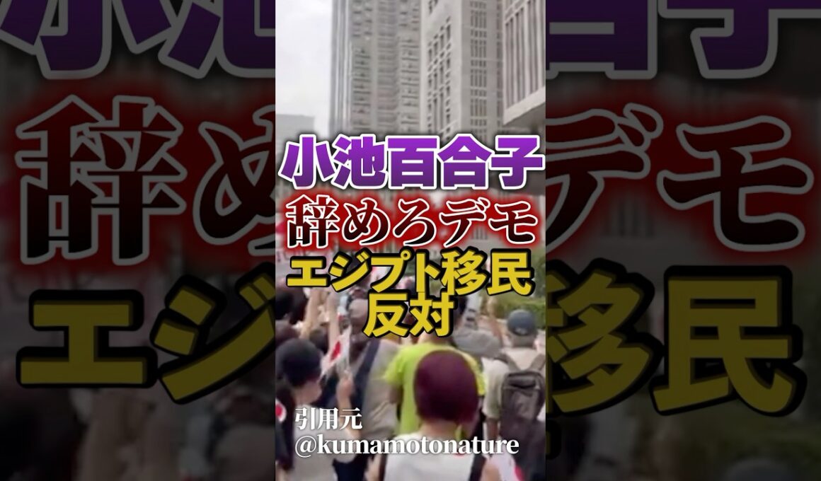 【小池百合子｜移民問題】小池辞めろデモ 開催｜小池百合子エジプトファースト【エジプト百合子神殿】日本人ファースト