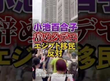 【小池百合子｜移民問題】小池辞めろデモ 開催｜小池百合子エジプトファースト【エジプト百合子神殿】日本人ファースト
