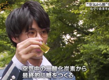 空気から糖を合成 農業革命に挑む！【ブレイクスルー】
