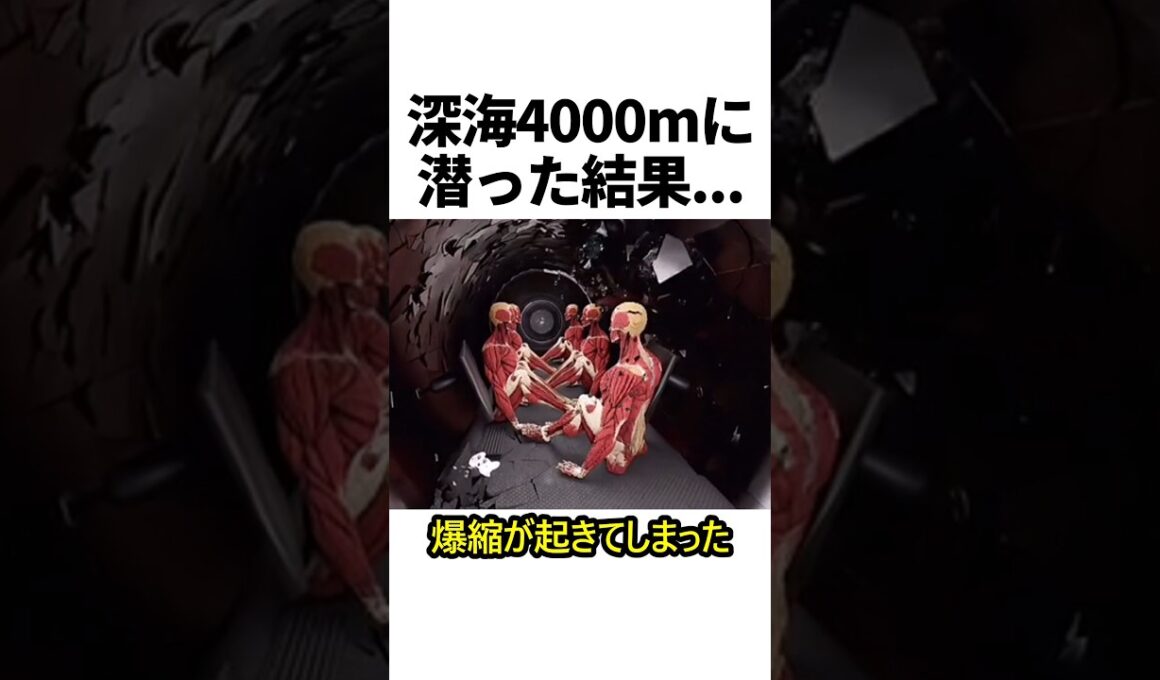 深海4000mに潜った結果…