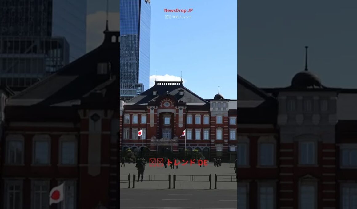 秋元優里 #Shorts #August2026 #日本ニュース