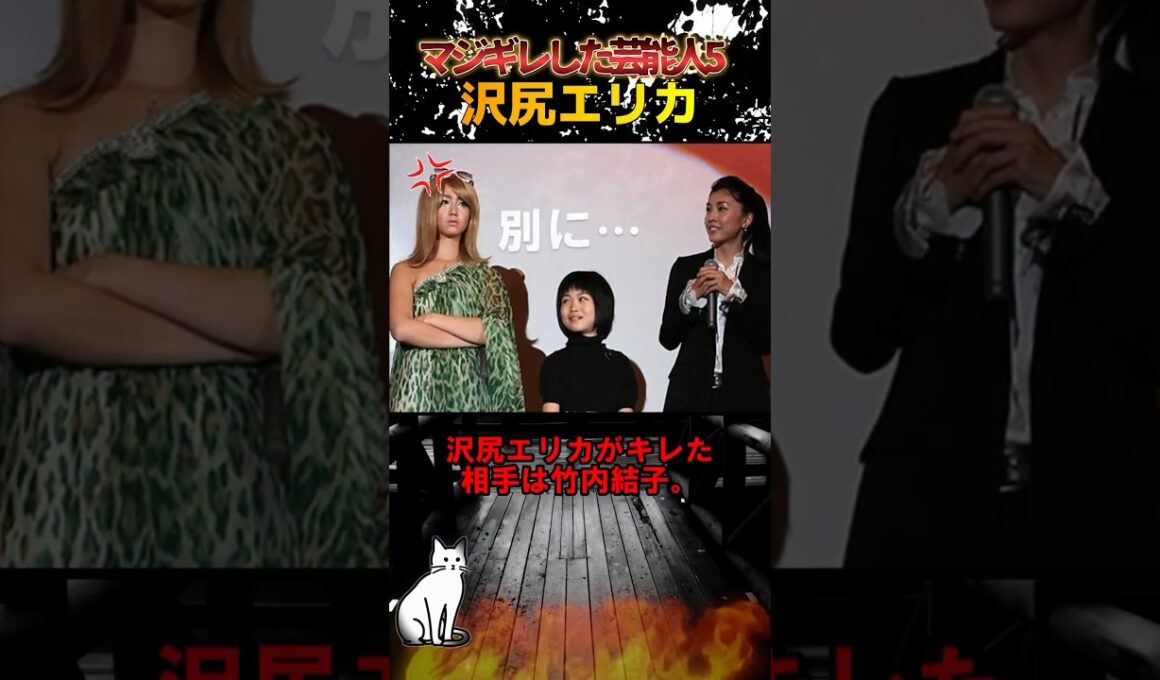 マジギレした芸能人 Part５ #マジギレ #芸能人 #俳優 #ブチギレ #沢尻エリカ