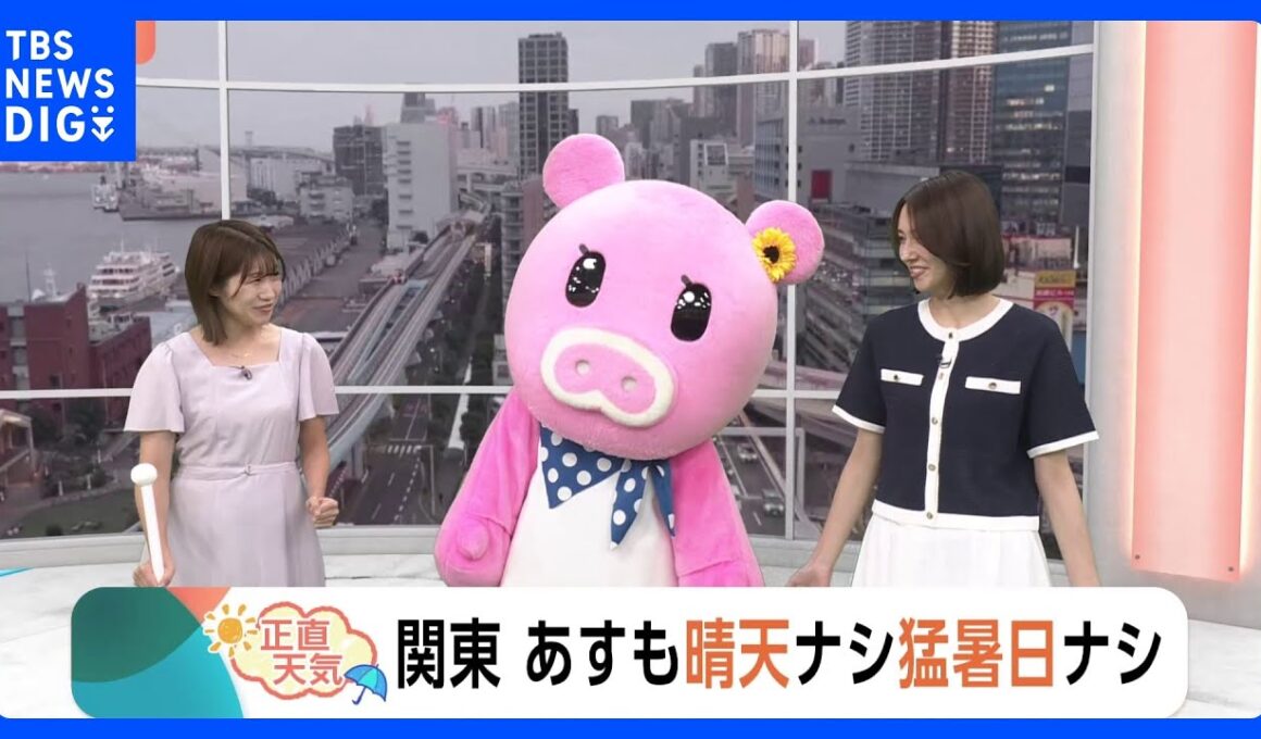 【8月5日 関東の天気】関東 あすも晴天ナシ猛暑日ナシ｜TBS NEWS DIG