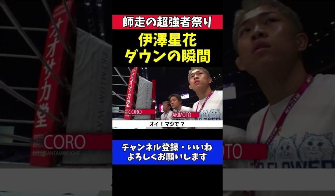 秋元強真 伊澤星花ダウンに驚愕！RENAの左フック炸裂の瞬間【RIZIN師走の超強者祭り】