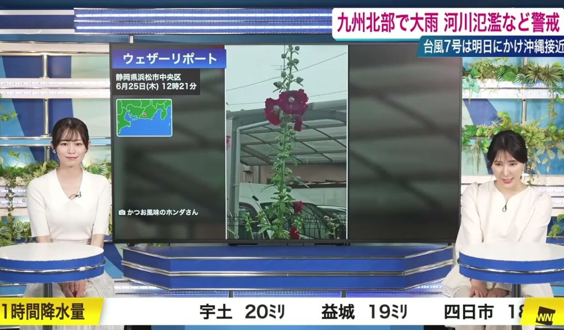 【白井ゆかり】【青原桃香】クロストーク（260625 ウェザーニュースLiVE CoffeeTime → ウェザーニュースLiVE Afternoon）