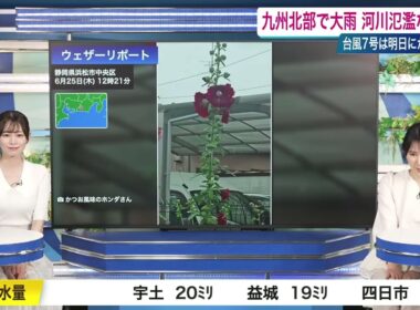 【白井ゆかり】【青原桃香】クロストーク（260625 ウェザーニュースLiVE CoffeeTime → ウェザーニュースLiVE Afternoon）