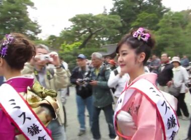 20140413ミス鎌倉2014の3人がお披露目後のお帰りです（第56回鎌倉まつり／鶴岡八幡宮舞殿）